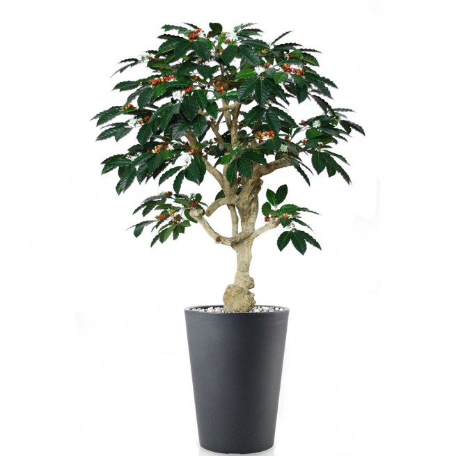 Planta semi-artificiala Ila, Coffee Crown Green - 180 cm